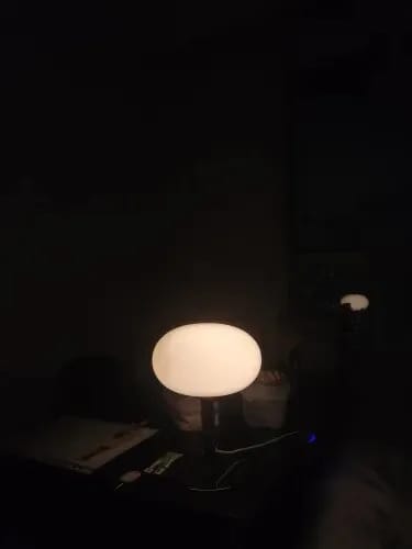 Customer photo review of Pink Glass Table Lamp for Bedside, Iron Base, 22 × 29 cm