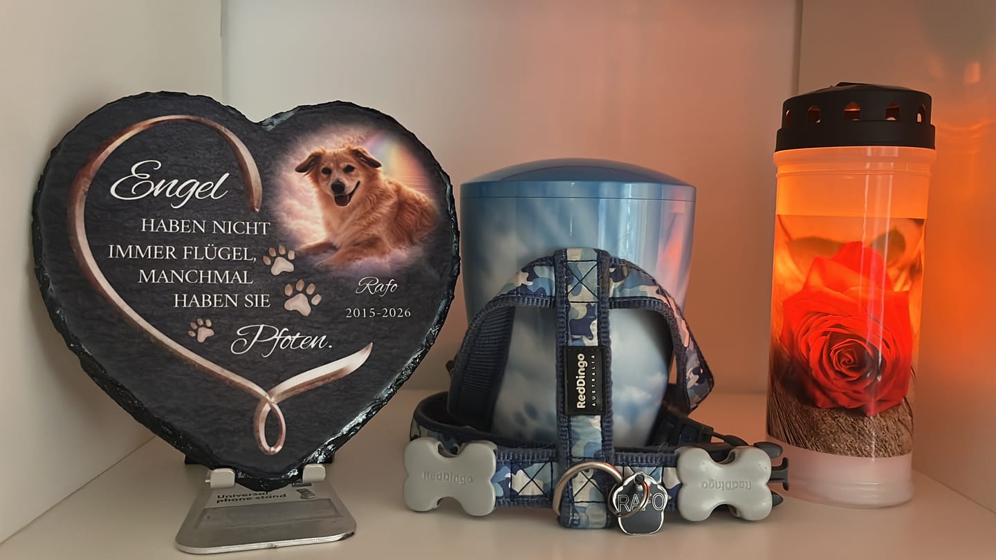 Customer photo review of Personalisiertes Schieferherz - Engel haben Pfoten