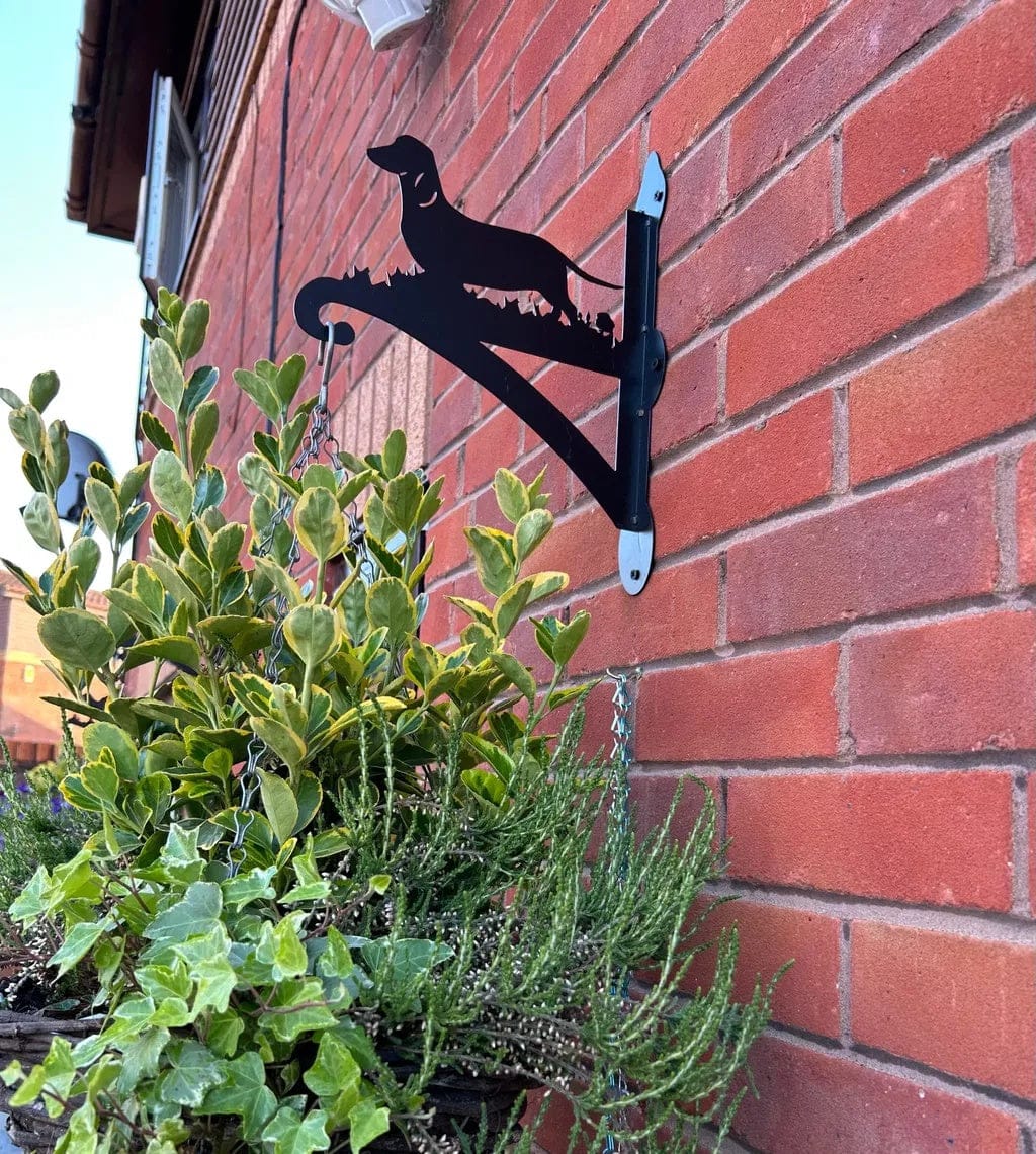 Customer photo review of Hanging Basket Bracket – Dachshund