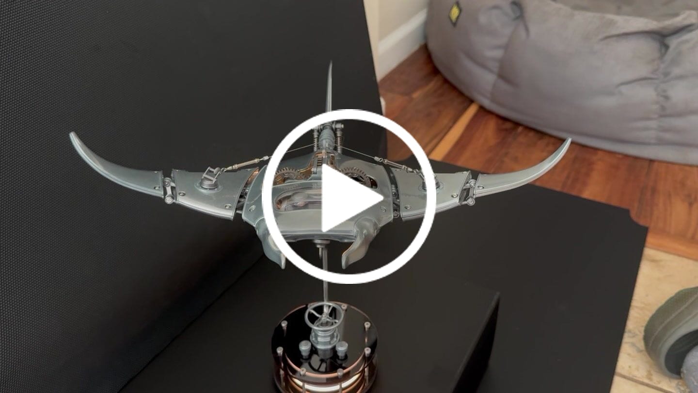 Customer video review of Rokrgeek Innovative Manta Ray Mechanical 3D Metal Model
