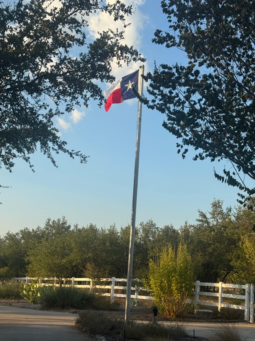 Customer photo review of 3' x 5' Texas Flag