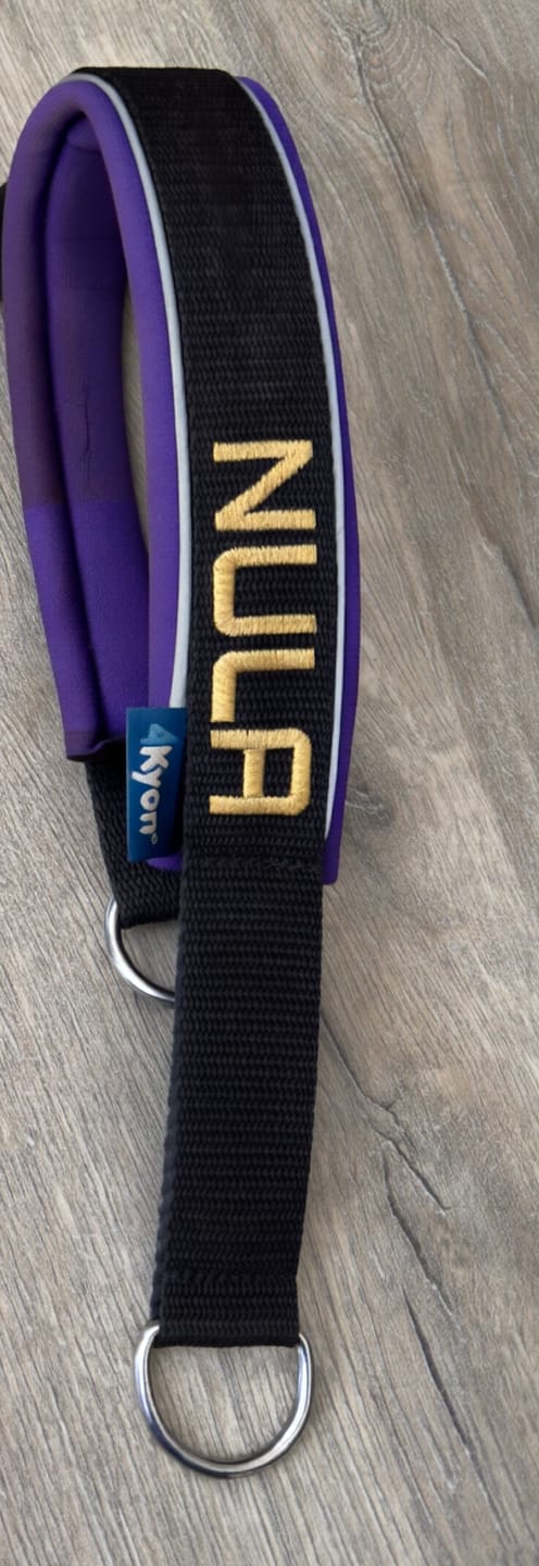Customer photo review of Fleece Half-Check Dog Collar with Name - L | 4Kyon