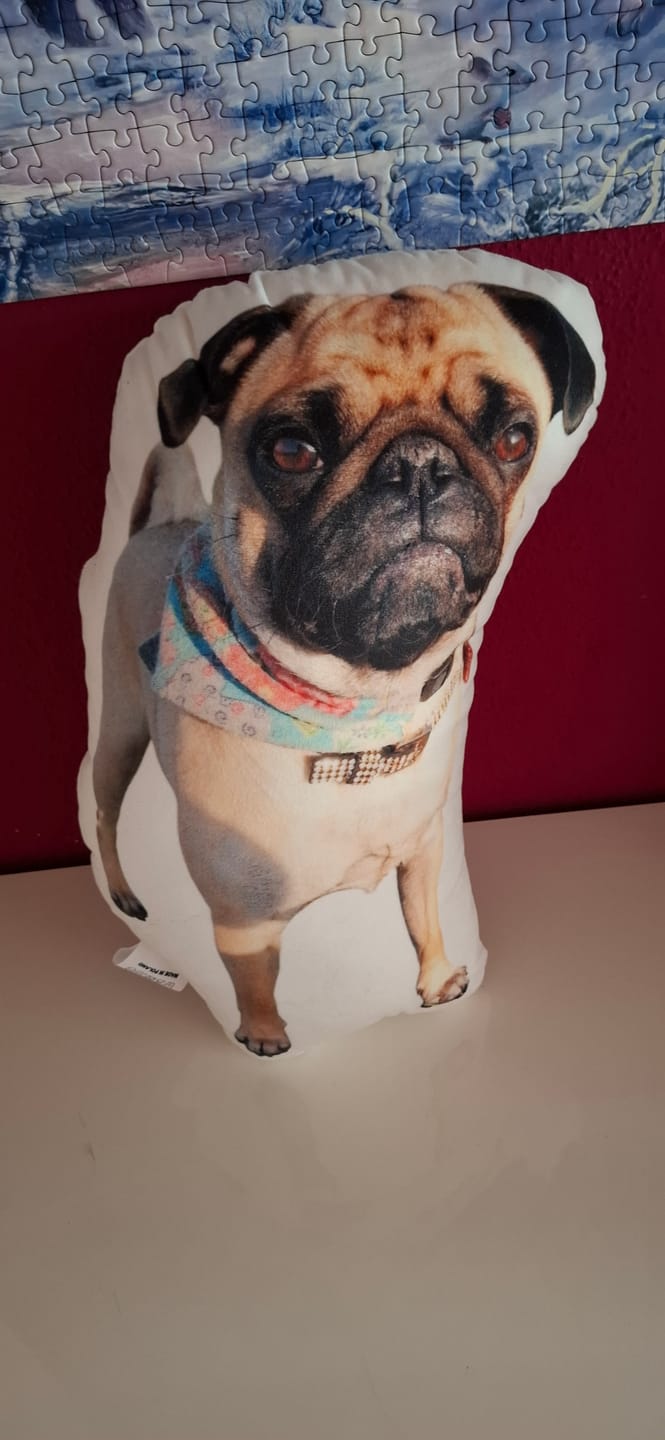 Customer photo review of Personalisiertes Hundekissen