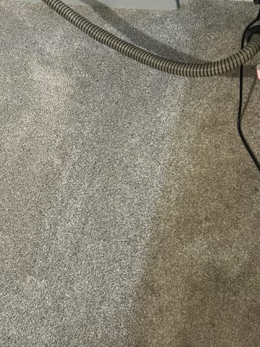 Customer photo review of Genie Grease Be Gone