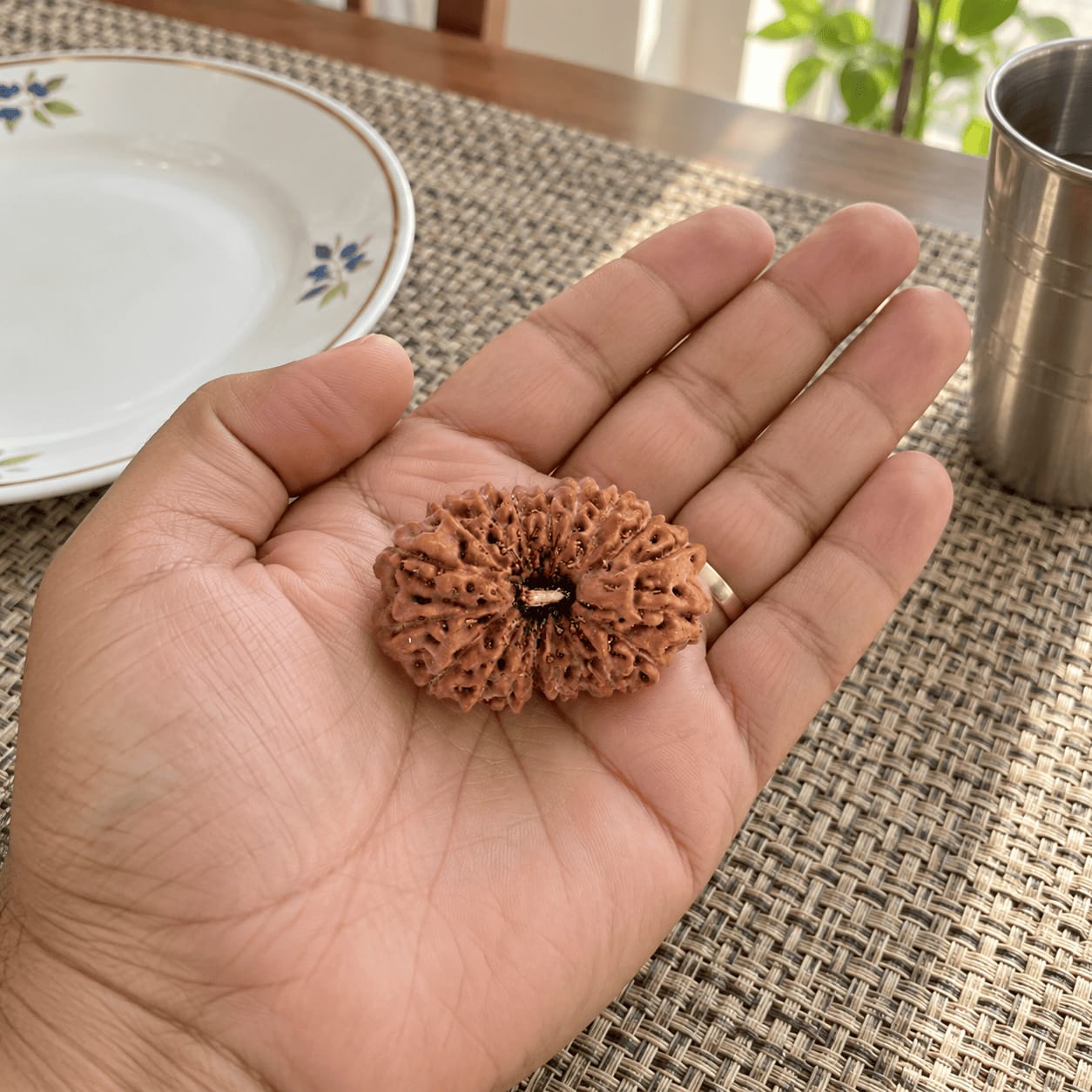 Customer photo review of Original 17 Mukhi Rudraksha (Nepali)