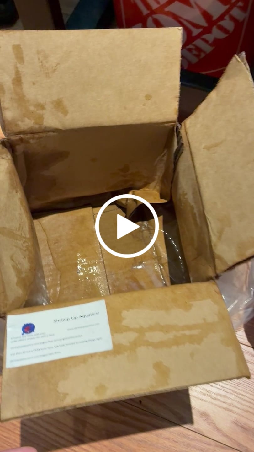 Customer video review of Panda Cory Catfish