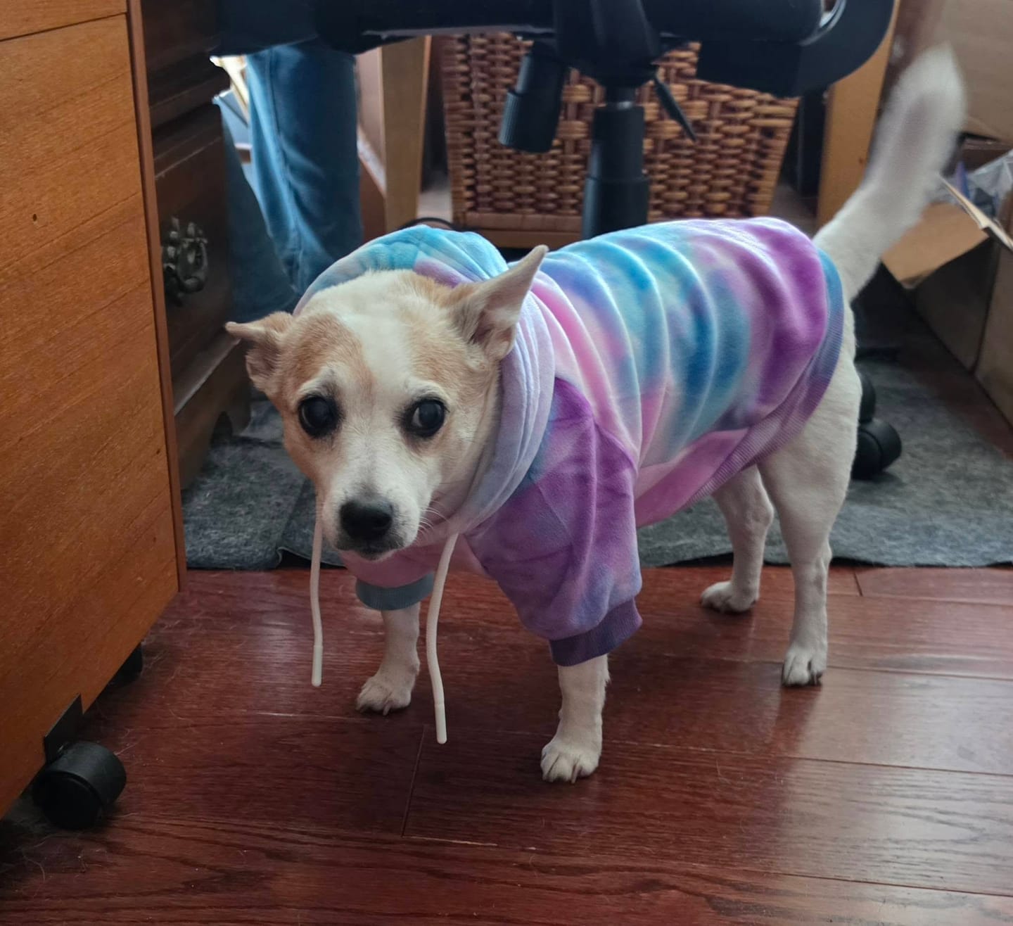 Customer photo review of Velvet Dog Hoodie - 90s Retro