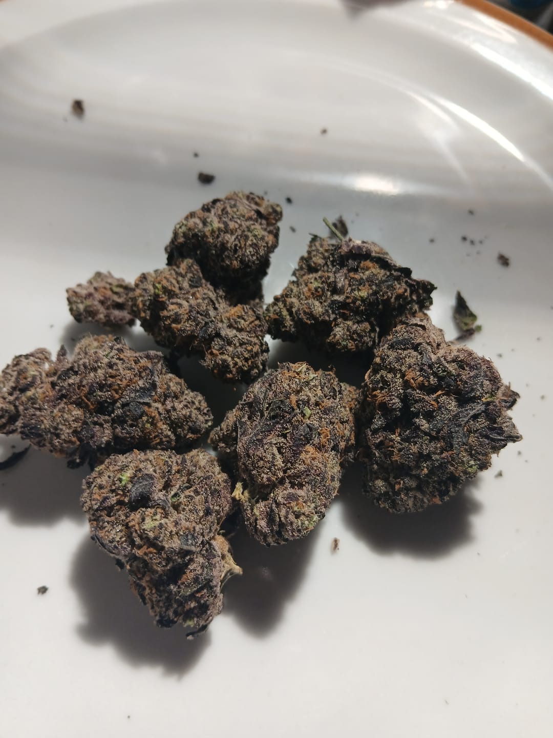 Customer photo review of Watermelon Zkittlez THCA Flower (Exotic)