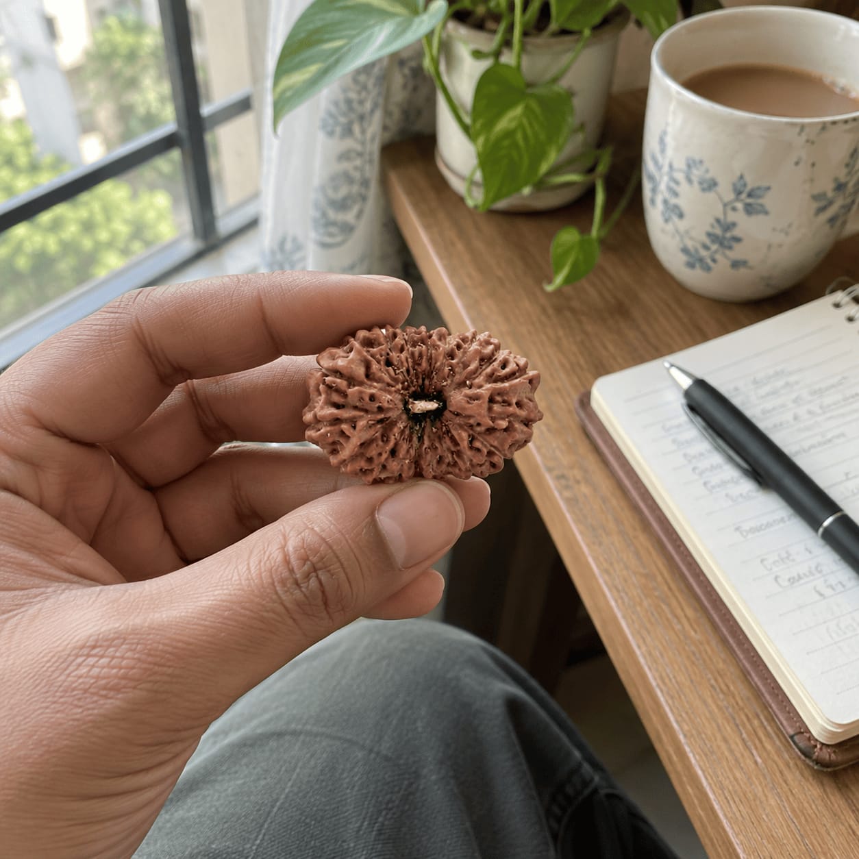 Customer photo review of Original 19 Mukhi Rudraksha (Nepali)