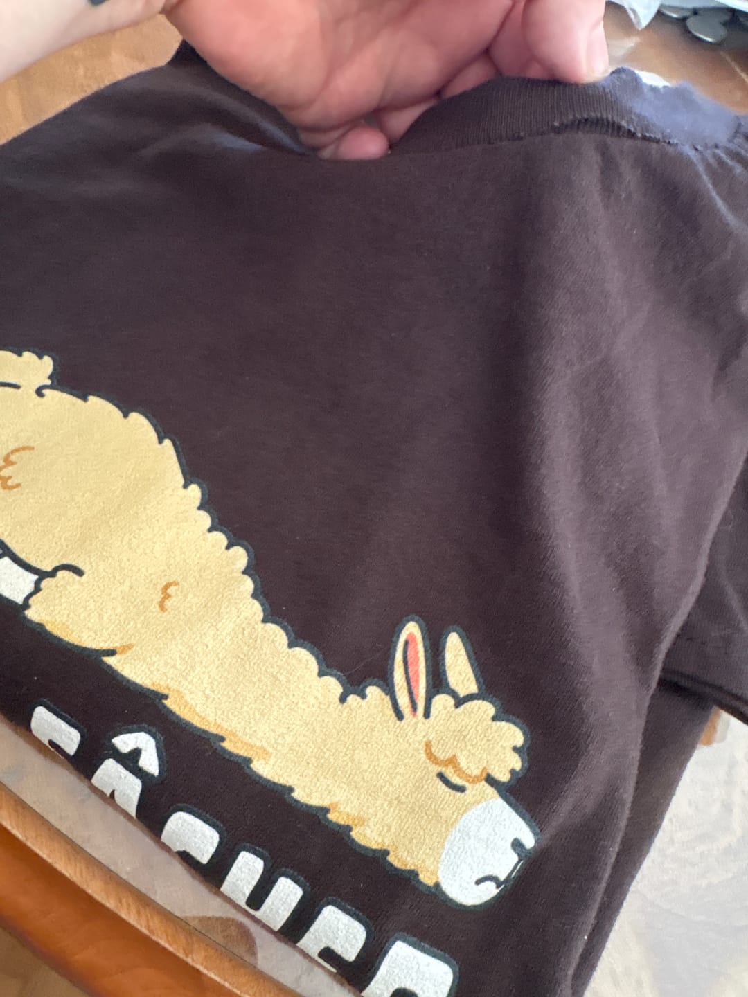 Customer photo review of T-Shirt Le Temps