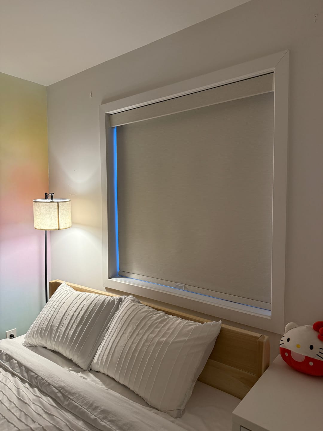 Customer photo review of Shadow Blackout Roller Shades