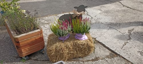Customer photo review of Gartenstecker Schaf
