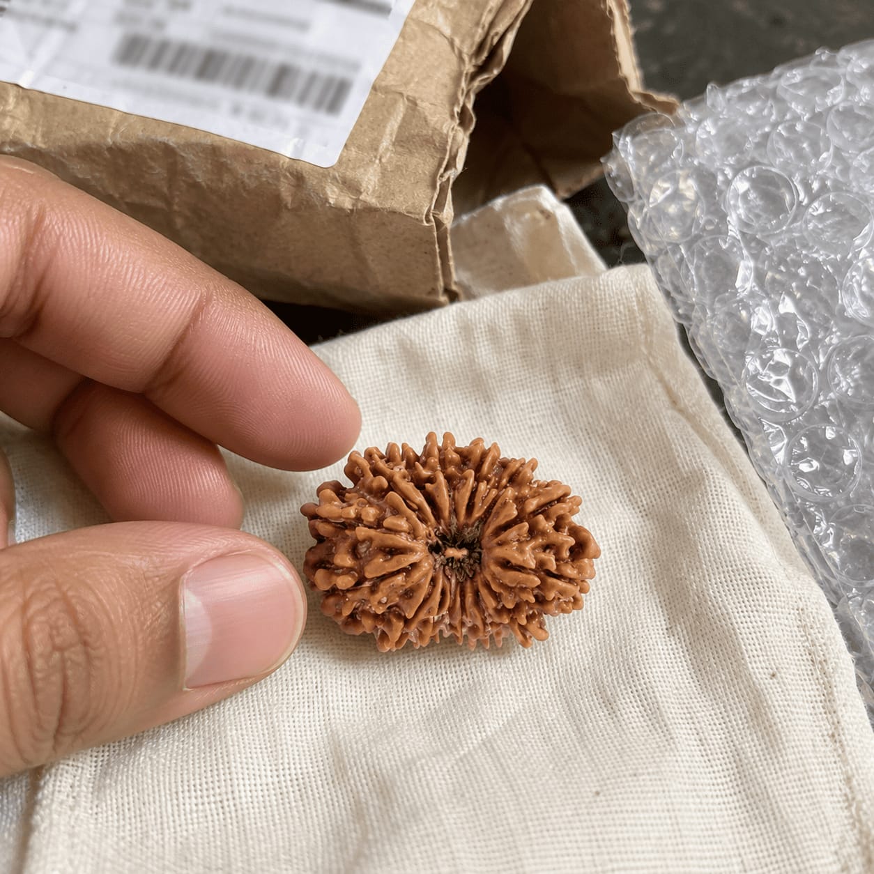 Customer photo review of Original 15 Mukhi Rudraksha (Nepali)