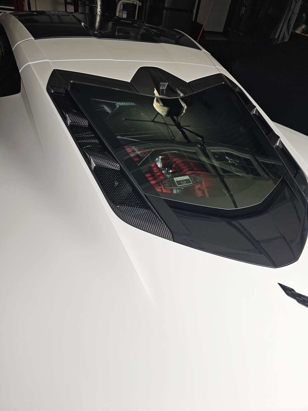 Customer photo review of Corvette C8 Coupe DRY CARBON FIBER Rear Hatch Vent