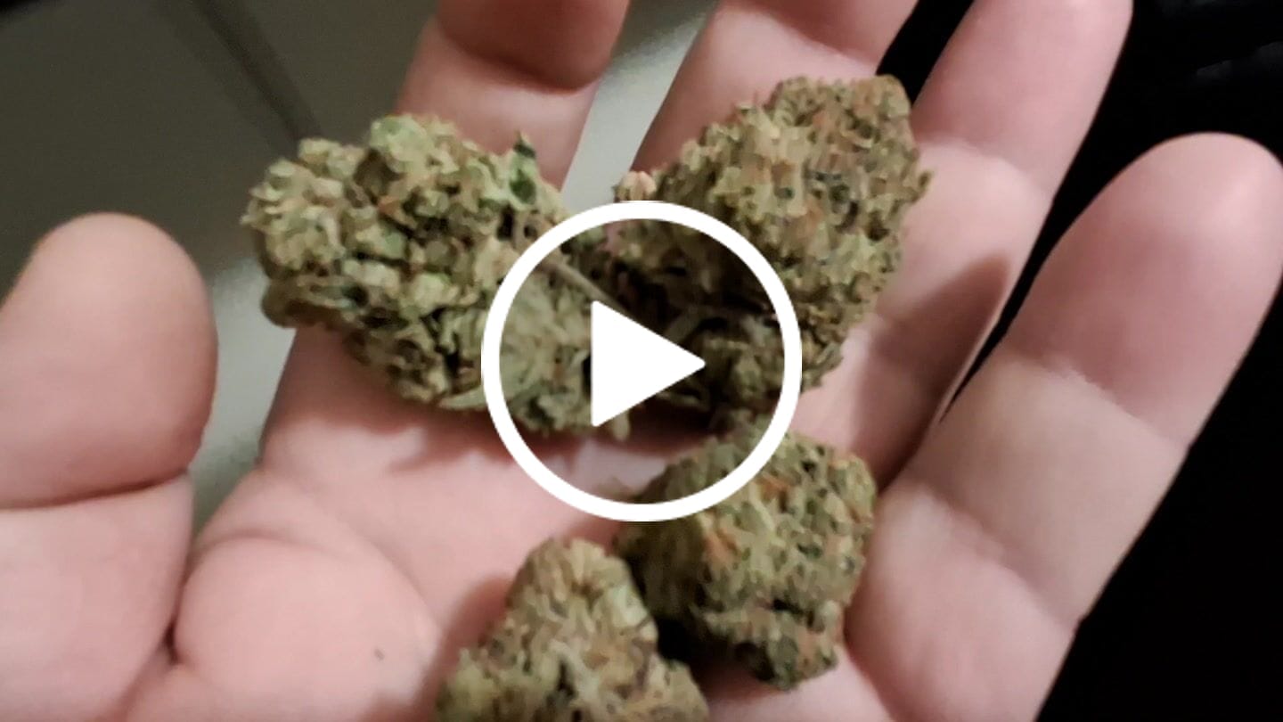 Customer video review of THCA Queen