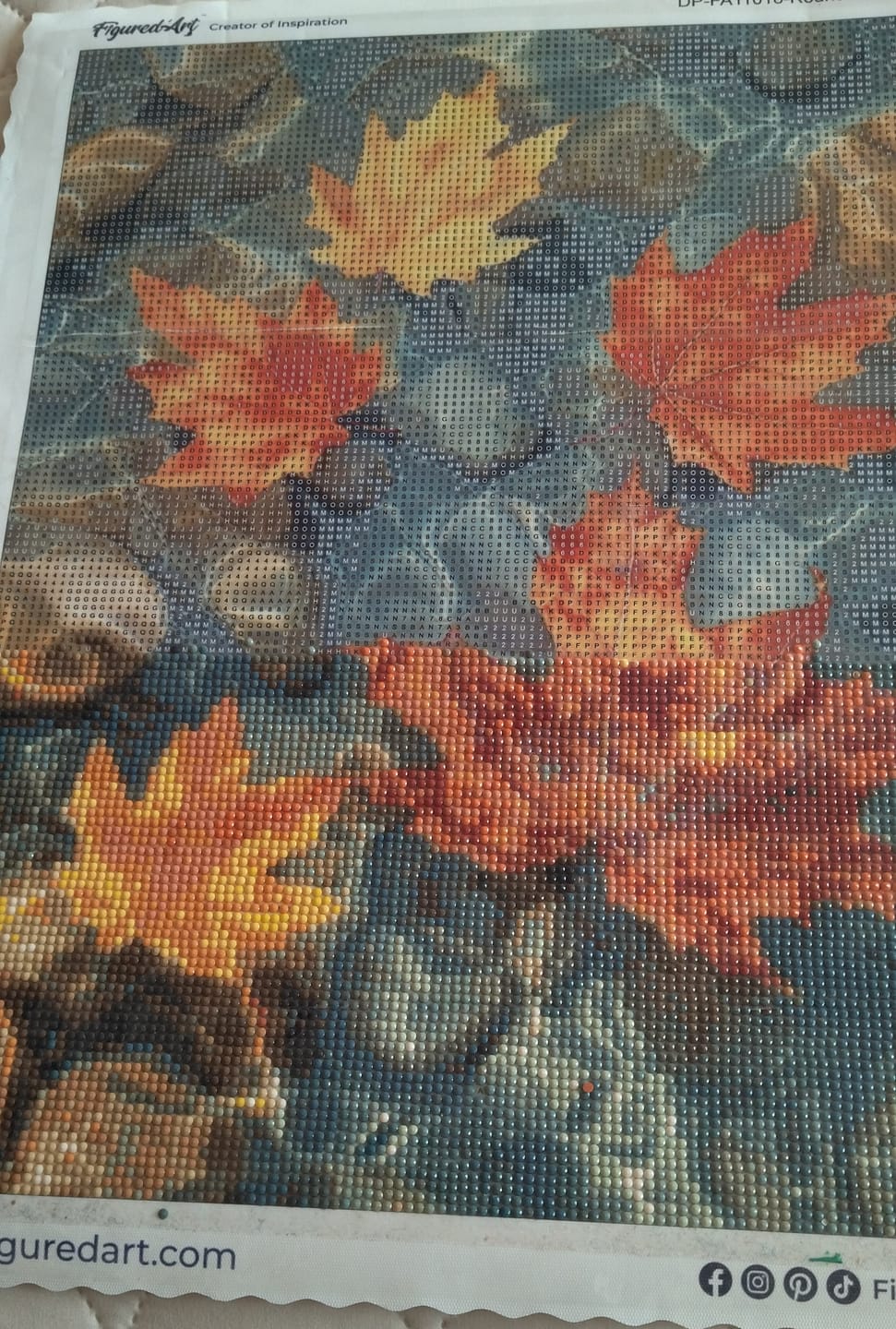 Customer photo review of Diamond Painting - Feuilles d’Ambre sur l’Eau