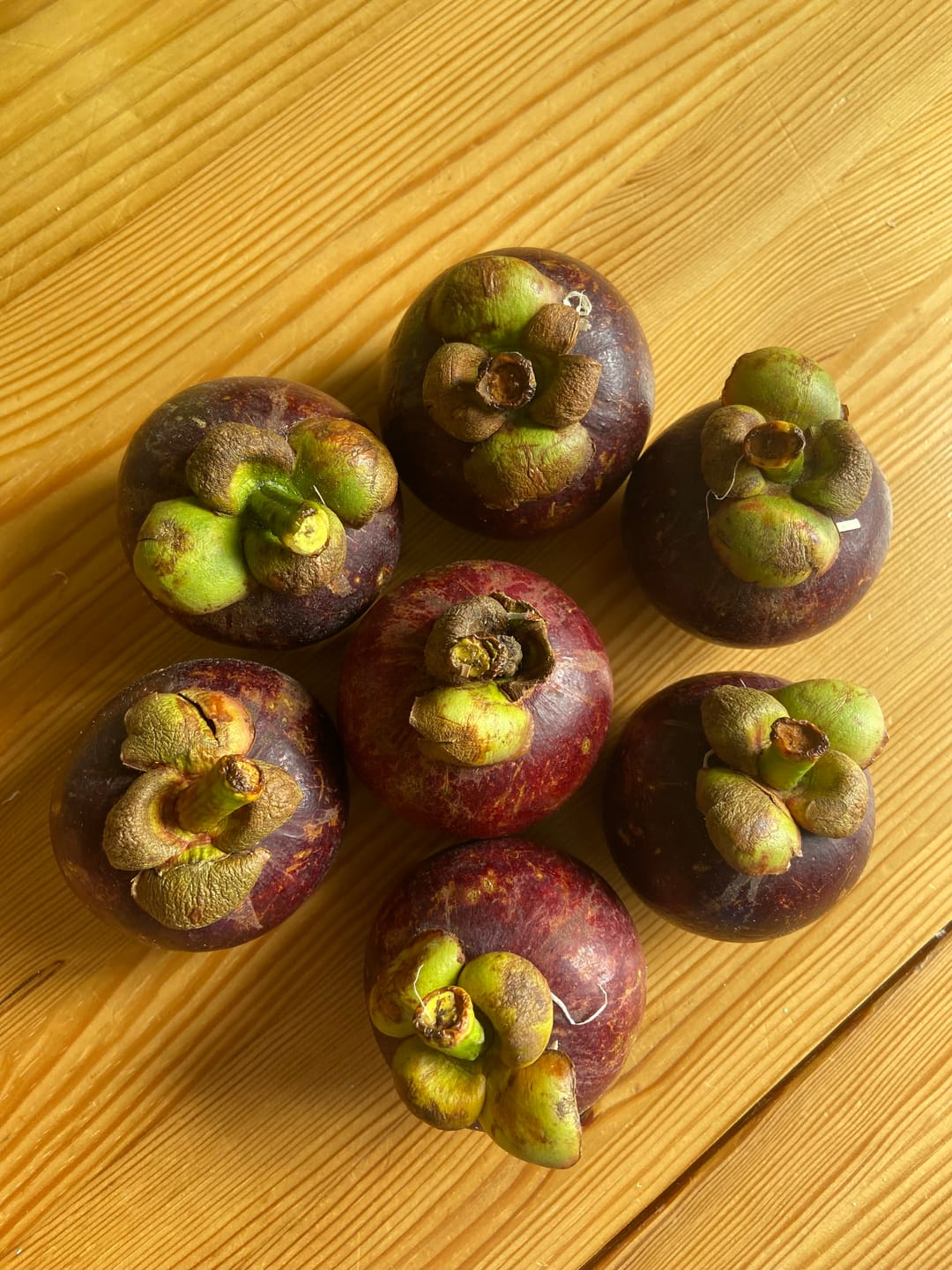 Customer photo review of Mangostan (Mangosteen) Sommeraktion %
