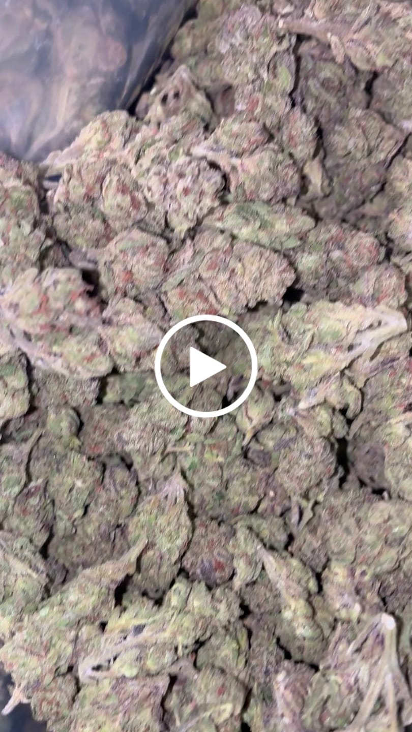 Customer video review of Light Assist THCA Smalls