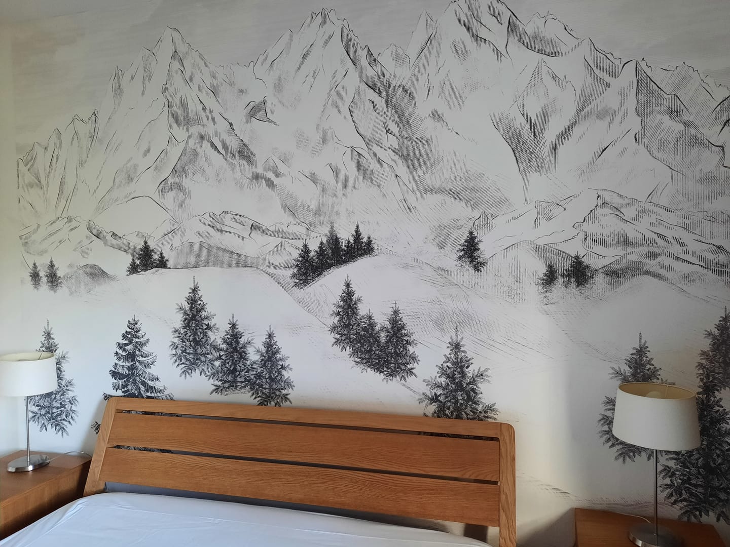 Customer photo review of Papier peint Aiguilles d'Arves