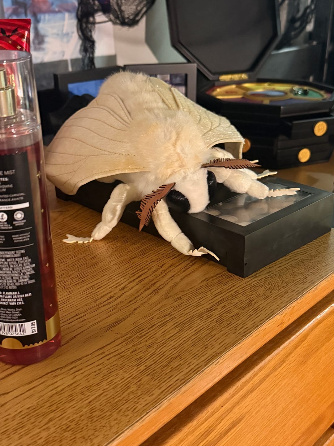 Customer photo review of Realistic Domestic Silk Moth Plush – Soft, Lifelike, and Perfect for Nature Lovers