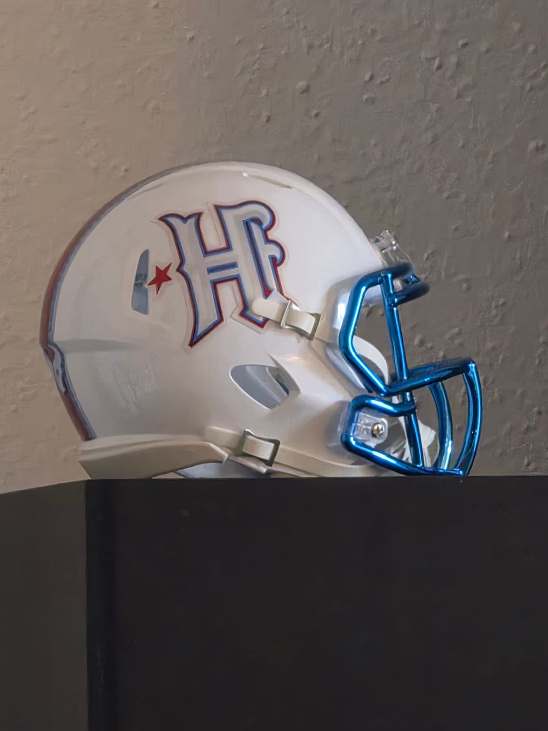 Customer photo review of Houston Texans Riddell Speed Mini Helmet - Rivalries 2026