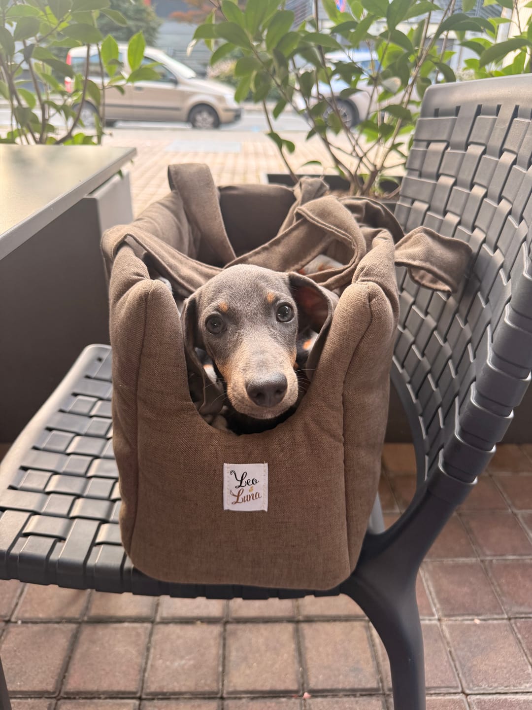 Customer photo review of Borsa Mattias Marrone (Soft Touch)