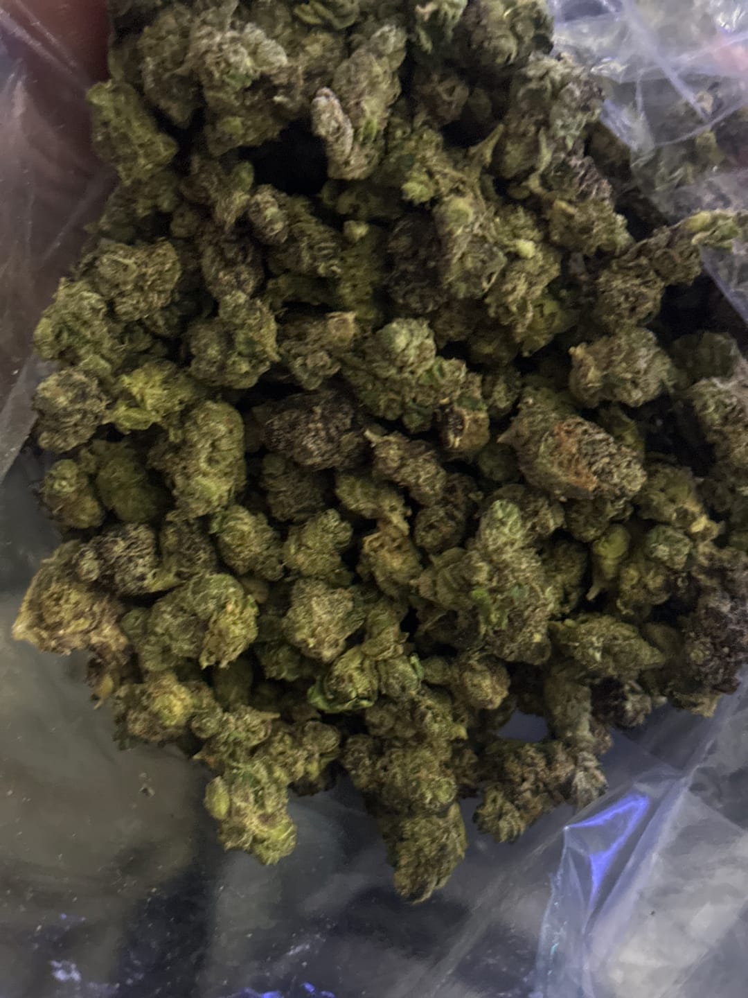 Customer photo review of Boutique Exotics Coffin Candy Minis - Bulk Minis - Hybrid