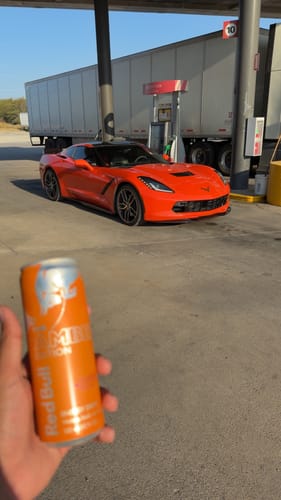 Customer photo review of Corvette C7 Front Bumper Grill