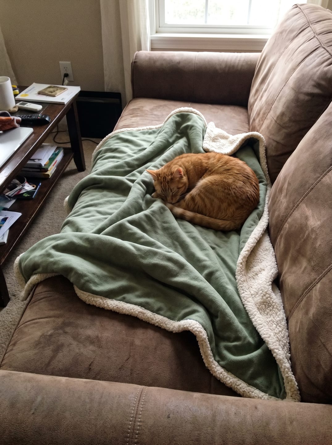 Customer photo review of Naturnord Sherpa Decke