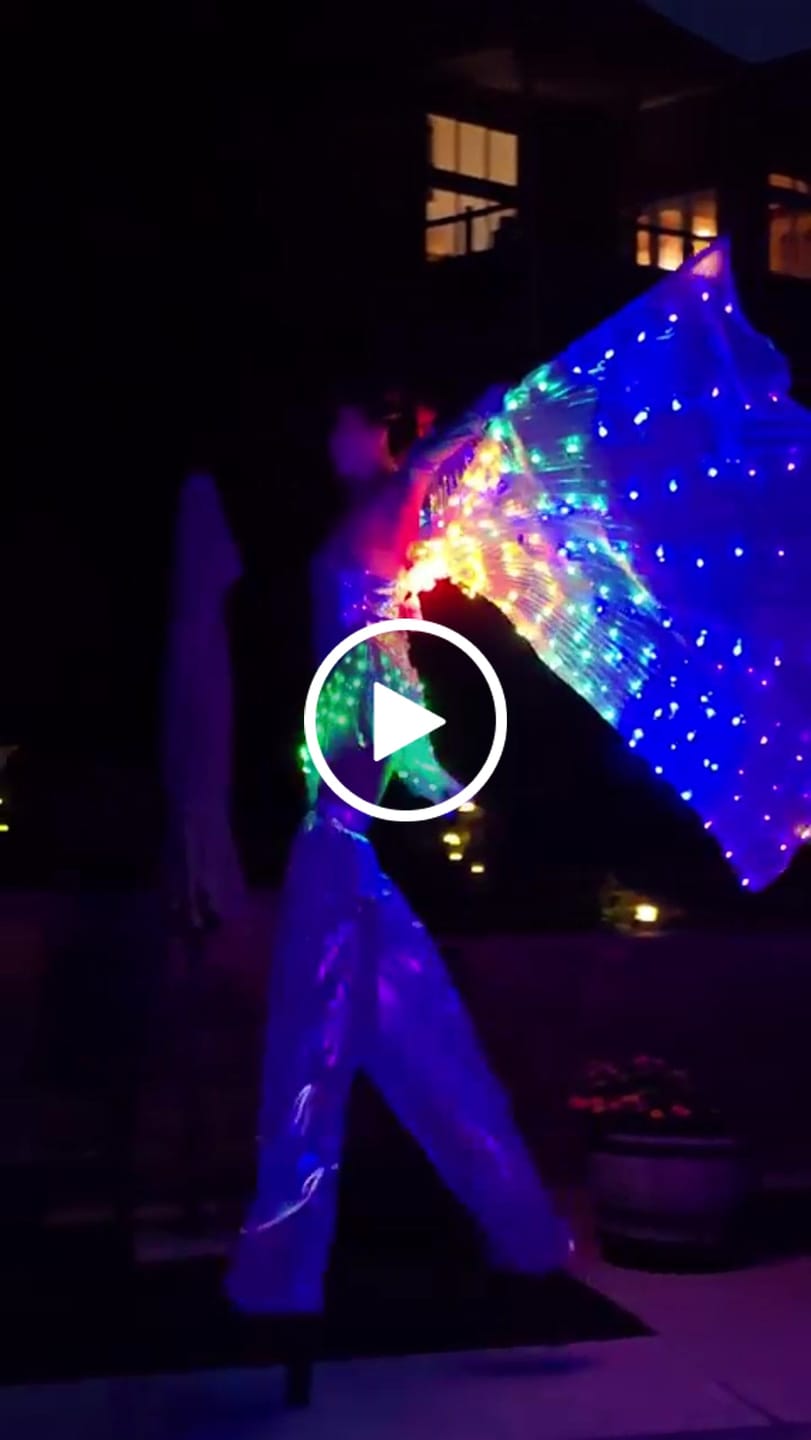 Customer video review of LED Fringe Sequin Dress : PRE-ORDER