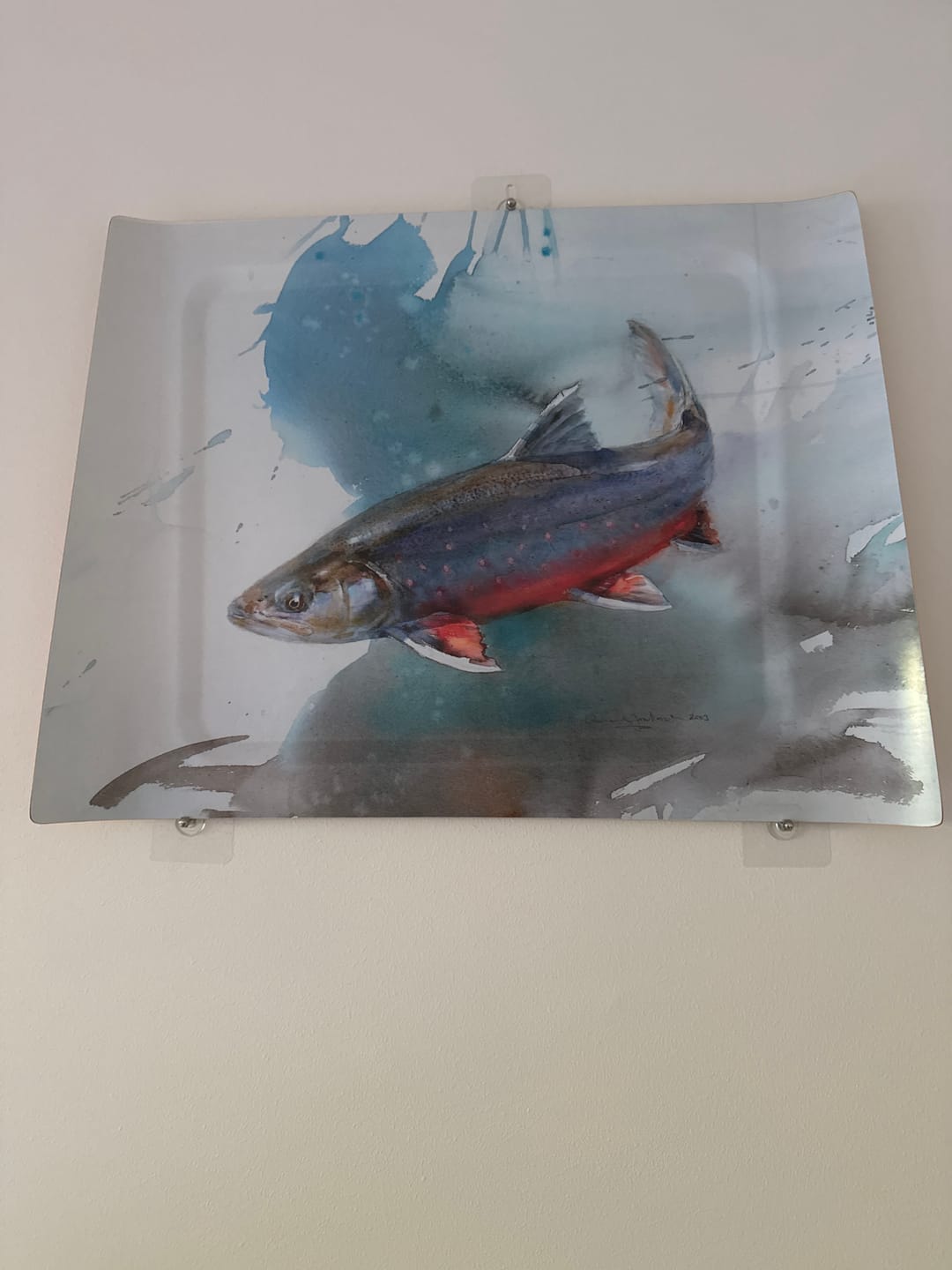 Customer photo review of Itseliimautuvat seinäkoukut – Vahva pito. Ei reikiä seinään.