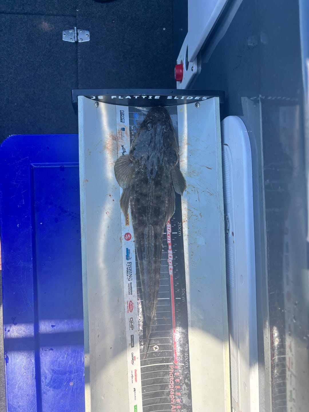 Customer photo review of Z-Man - EZ ShrimpZ Unrigged