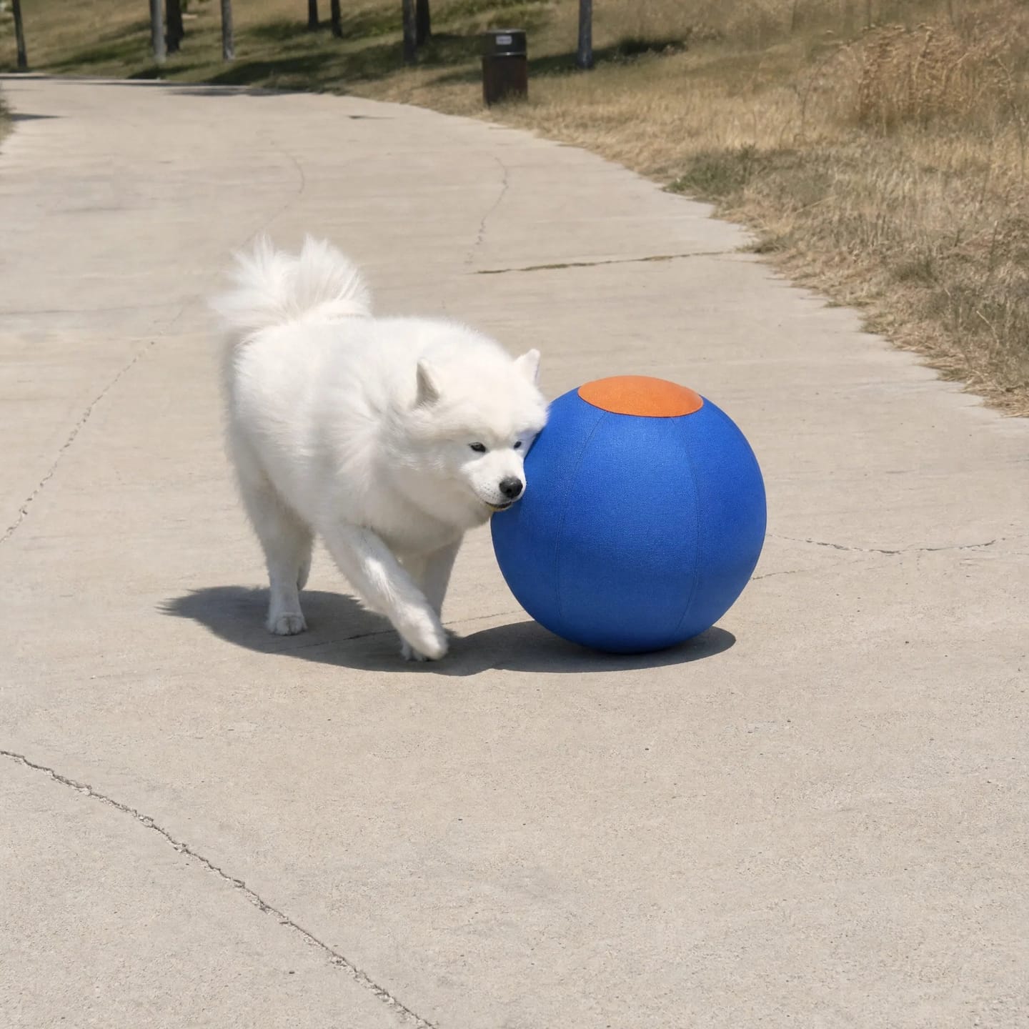 Customer photo review of DriveBall — Herding Ball for High-Drive Dogs, Zip-Close Oxford Cover, Replaceable Bladder
