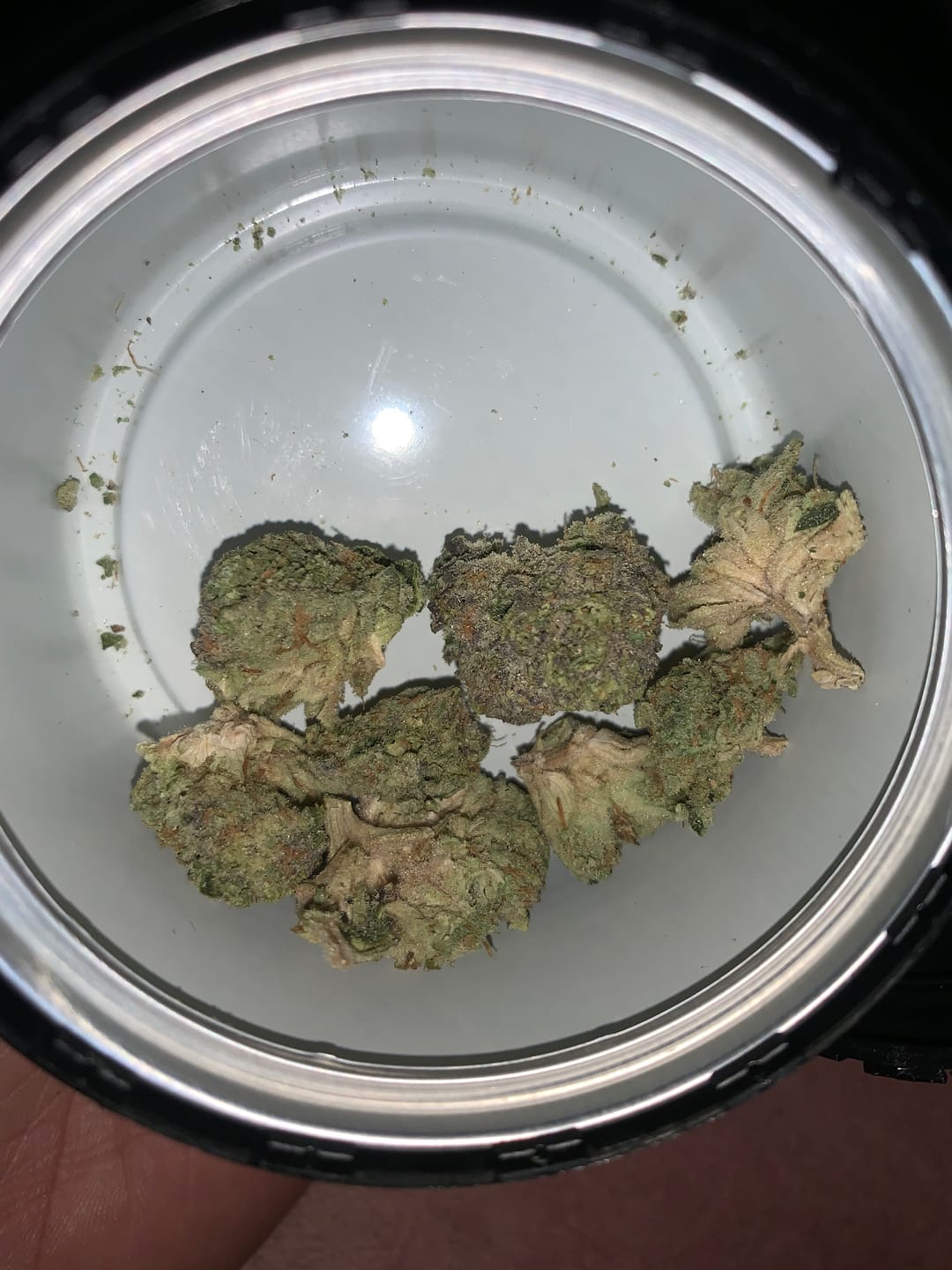 Customer photo review of White Gelato - 28 Grams - Indica