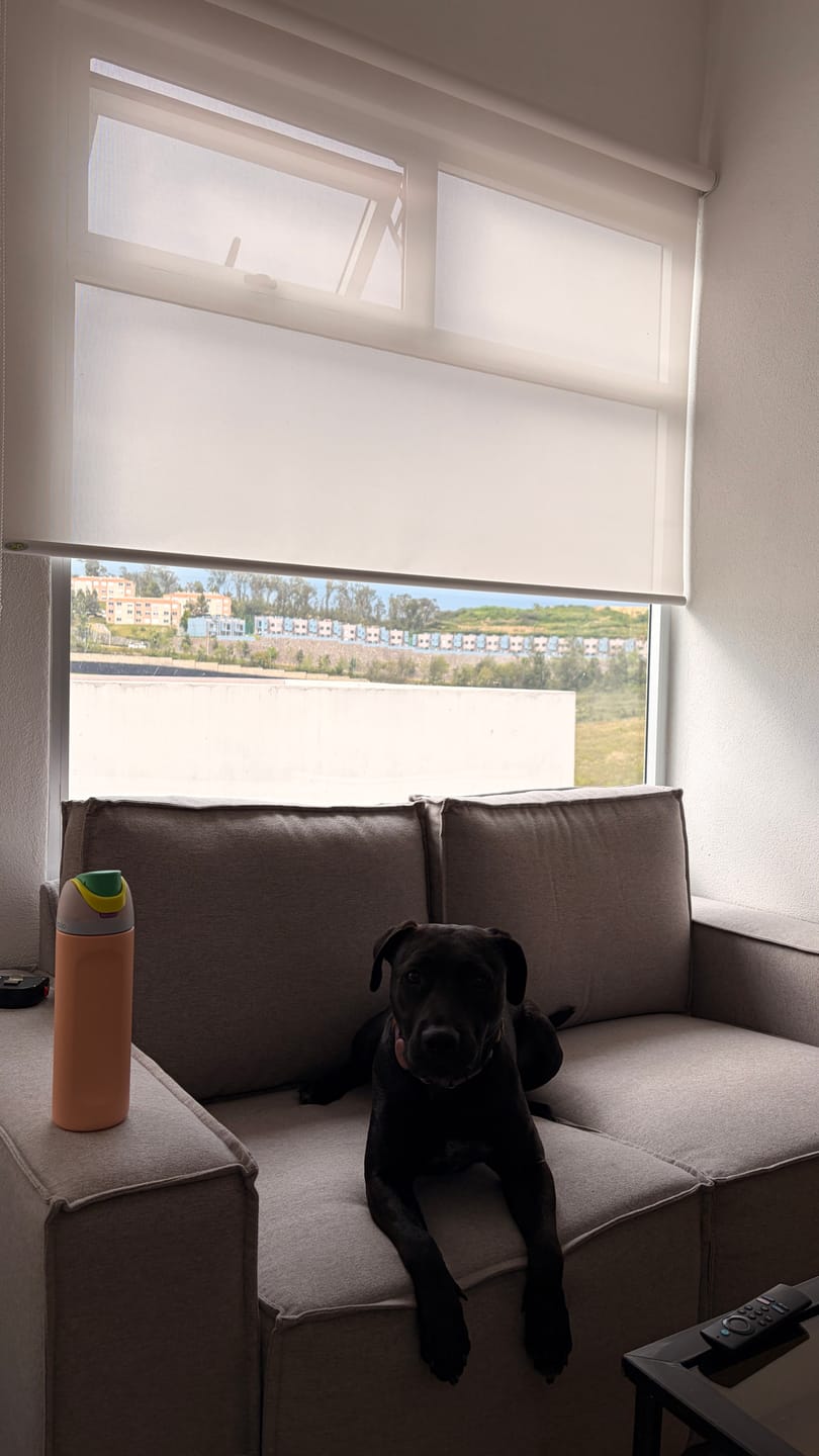 Customer photo review of Sofá Lund 2 Plazas