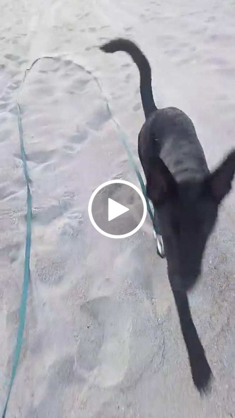 Customer video review of Tidal Waterproof Longline