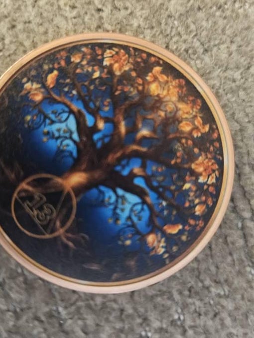 Customer photo review of Personalized Sobriety Coin - Tree of Life