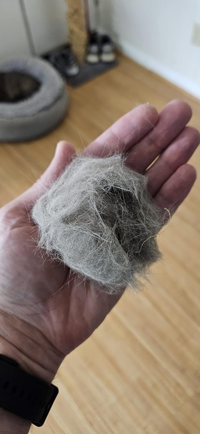 Customer photo review of CleanPaws™ Peluqueria Profesional en Casa