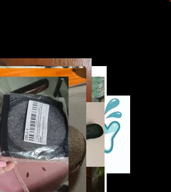 Customer photo review of Orejeras para Perros con Reducción de Ruido