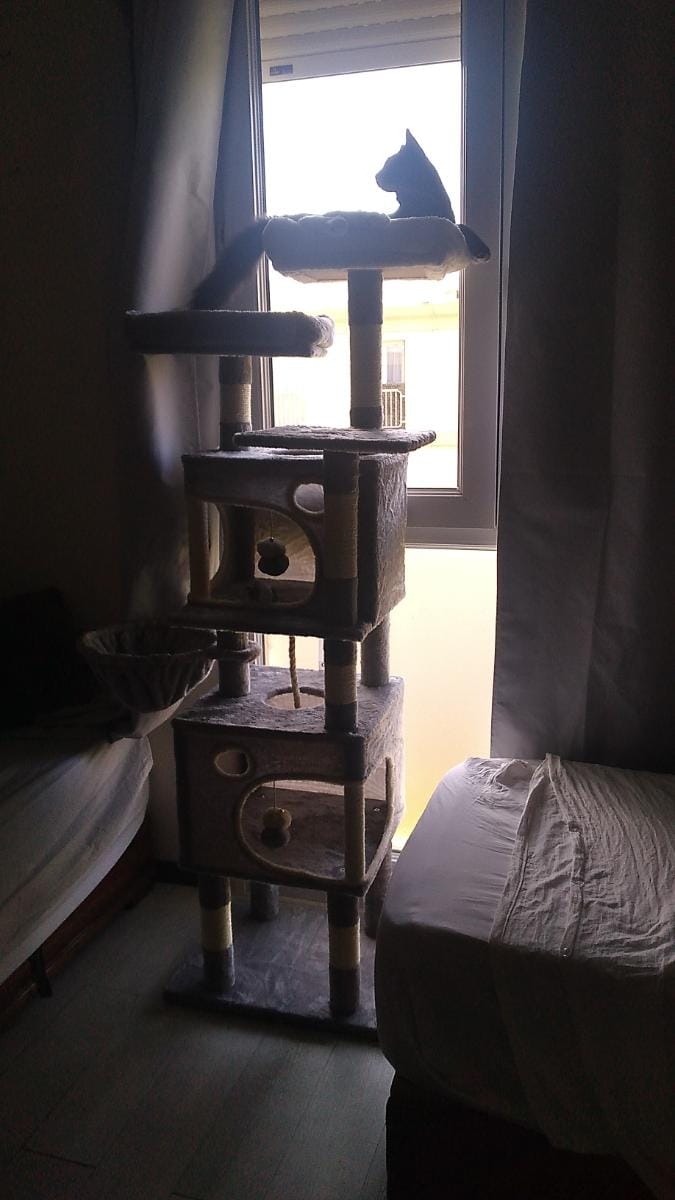 Customer photo review of Arbre à Chat 161cm – 7 Niveaux & Grande Stabilité