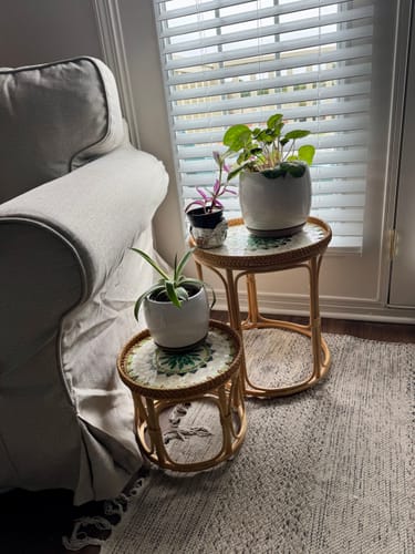 Customer photo review of Oasis Rattan Table Set