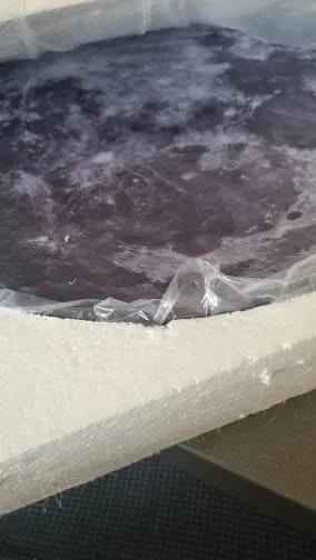 Customer photo review of Black Wall Light for Bedside, Backlit Moon Disc, 25-102 cm