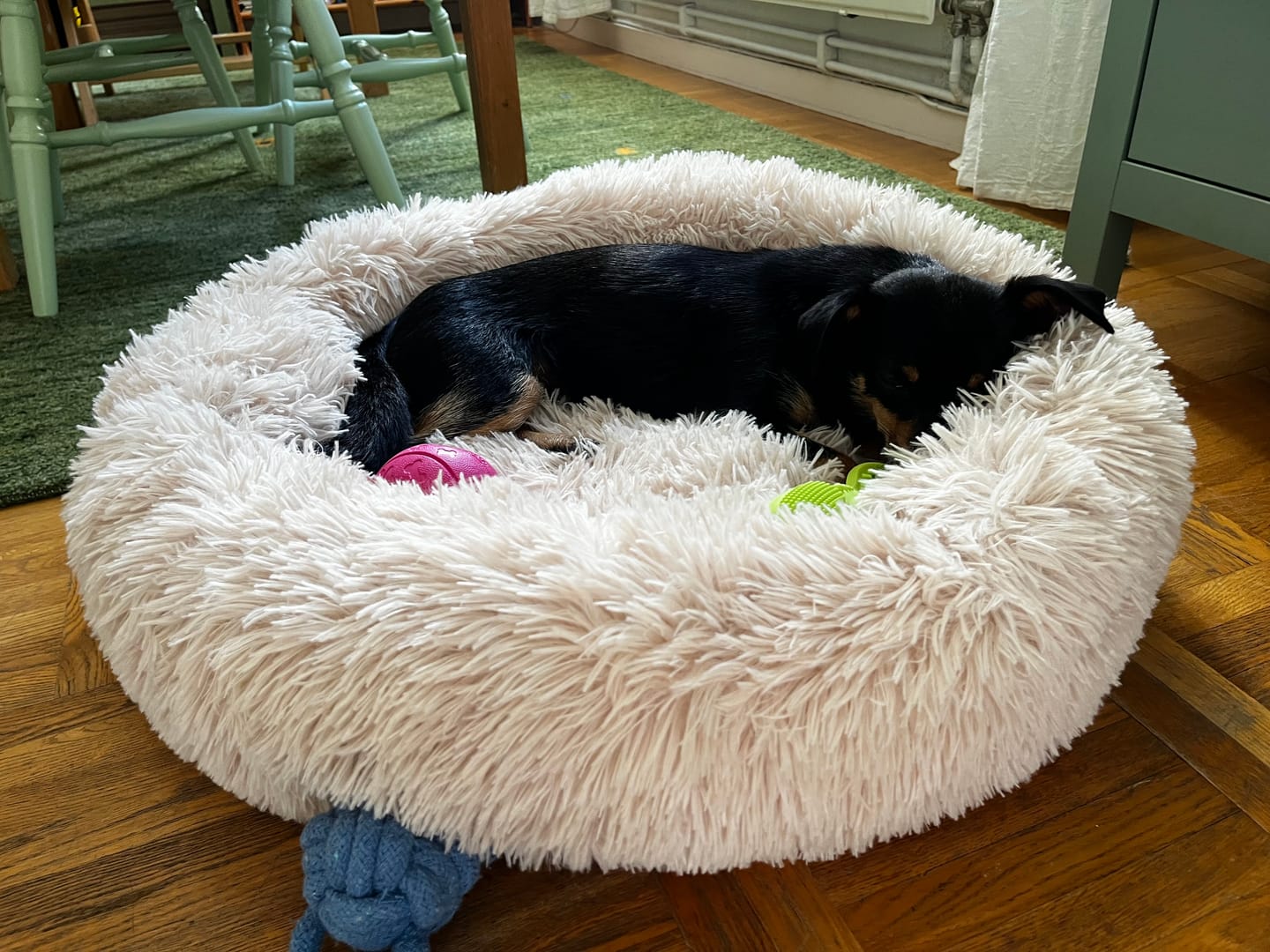 Customer photo review of CalmBed