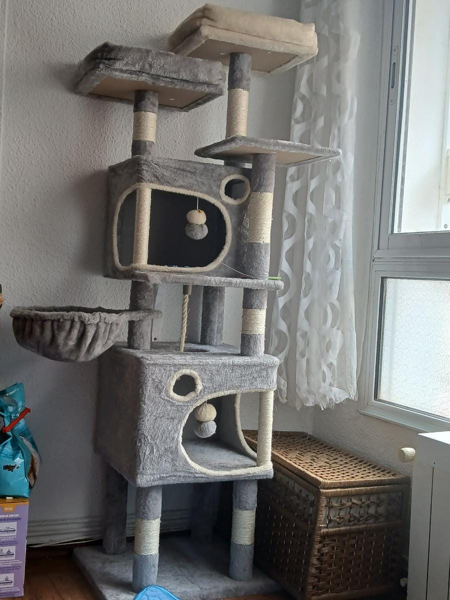 Customer photo review of Arbre à Chat 161cm – 7 Niveaux & Grande Stabilité
