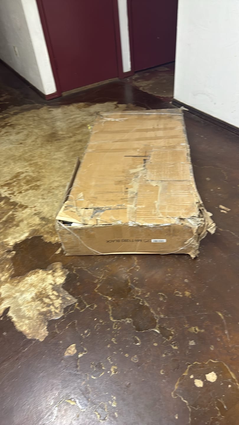 Customer photo review of T12 Foldable Treadmill with 15% Auto Incline