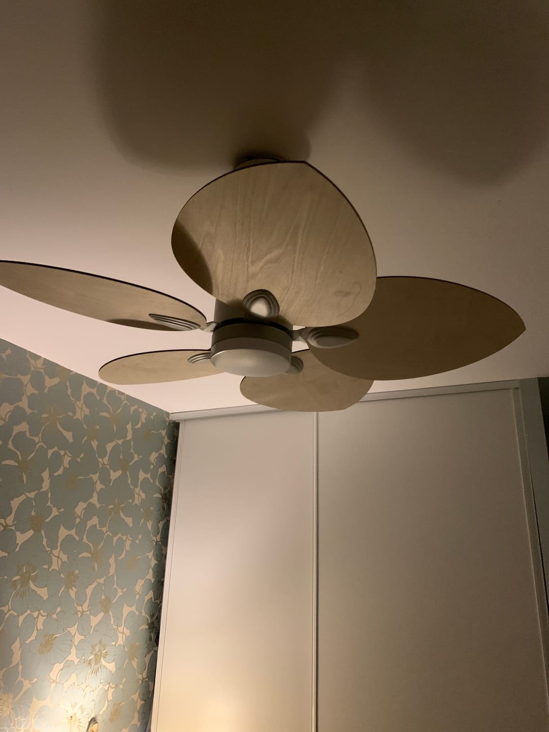 Customer photo review of Dahlia | Ventilateur de plafond