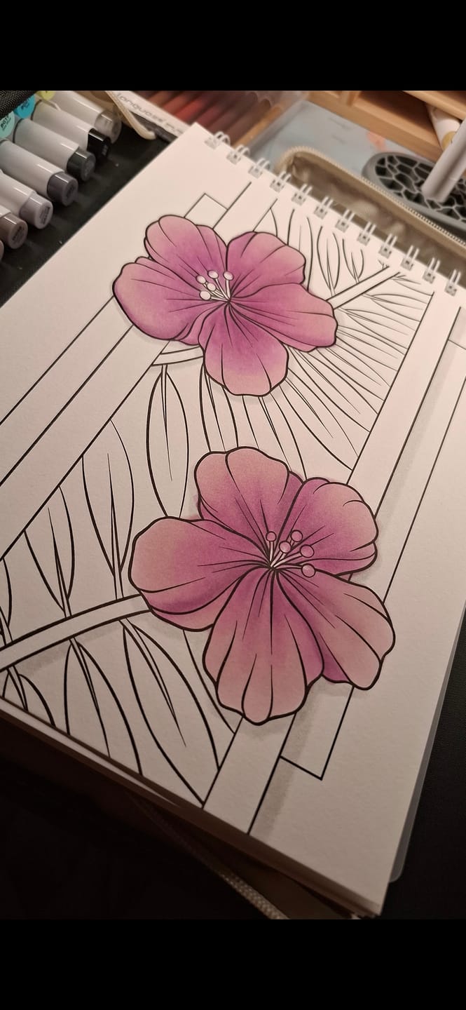 Customer photo review of Ohuhu x Jade Summer Alcohol Markers & Coloring Book Set, 48 Colors, Honolulu B, Brush & Fine Dual Tips