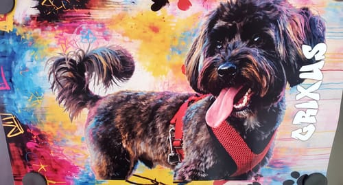 Customer photo review of Graffiti - Personalized Poster