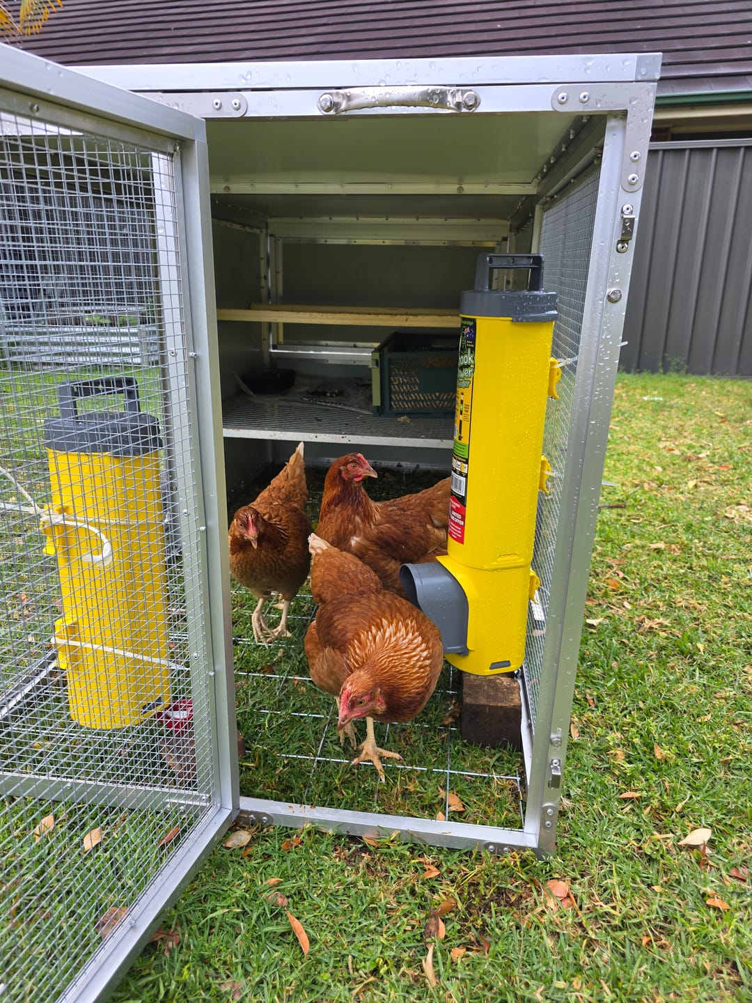 Customer photo review of Mobile Chicken Coop / Chicken Tractor