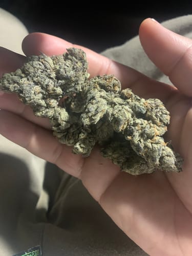 Customer photo review of Lucky Sevens Exotic THCA (7g)